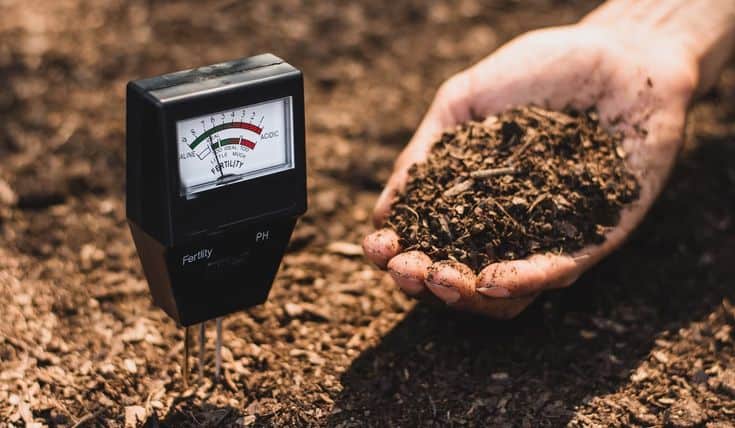 man is doing soil testing with tools  