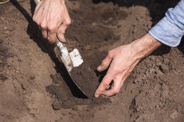 soil sample testing austin